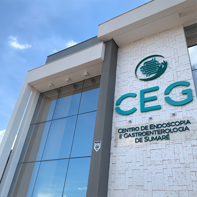 Conheça a SEG
